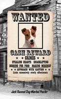 Jack Russell Dog Wanted Poster