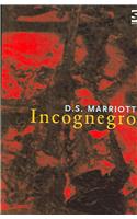 Incognegro