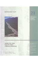 Southern New Ireland, Papua New Guinea: A Biodiversity Assessment