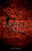 Spring - Projekt I