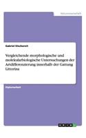 Vergleichende morphologische und molekularbiologische Untersuchungen der Artdifferenzierung innerhalb der Gattung Littorina