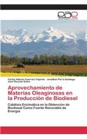 Aprovechamiento de Materias Oleaginosas en la Producción de Biodiesel