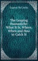 Leaping Ouananiche: What It Is, Where, When and How to Catch It