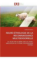 Neuro-�thologie de la Reconnaissance Multisensorielle: (Omn.Univ.Europ.)