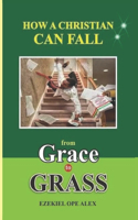 How A Christian Can Fall From Grace To Grass