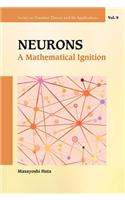 Neurons: A Mathematical Ignition