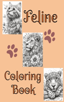 Feline Coloring Book