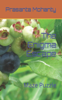 Enigma Escape: Maze Puzzle