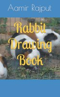 Rabbit Drawing Book