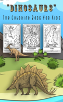 Dinosaur Coloring Book For Kids