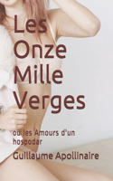 Les Onze Mille Verges: ou les Amours d'un hospodar