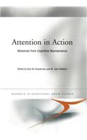 Attention in Action