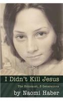 I Didn't Kill Jesus