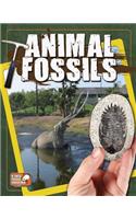 Animal Fossils: (If These Fossils Could Talk)