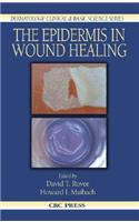 Epidermis in Wound Healing