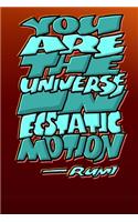 You Are the Universe in Ecstatic Motion