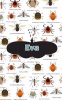 Eva: Bug Insect Weekly Planer Book Notebook Journal Book 120 Pages 6x9