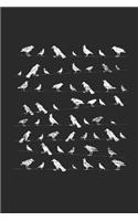Flock of Bird