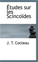 Etudes Sur Les Scinco Des