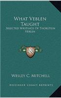 What Veblen Taught