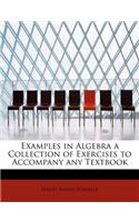 Examples in Algebra a Collection of Exercises to Accompany Any Textbook