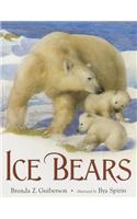 Ice Bears