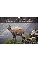 Climbing with the Ibex 2017