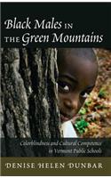 Black Males in the Green Mountains