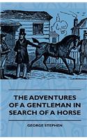 Adventures of a Gentleman in Search of a Horse