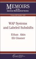 WAP Systems and Labeled Subshifts
