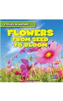 Flowers: From Seed to Bloom