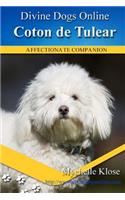 Coton de Tulear