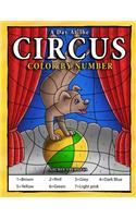 A Day At The Circus