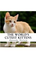 The World's Cutest Kittens