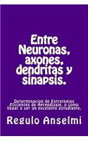 Entre Neuronas, axones, dendritas y sinapsis.