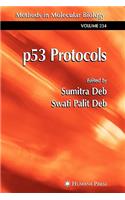 p53 Protocols: (234 Methods in Molecular Biology)