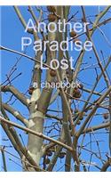Another Paradise Lost
