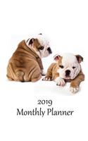 2019 Monthly Planner: Huggable Bulldog Puppies Cover - Includes Major U.S. Holidays and Sporting Events