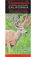 Mammals of Central & Northern California: Tracks, Scats and Signs a Guide to Identification in the Wild