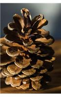 A Single Pinecone Portrait Journal