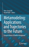 Metamodeling: Applications and Trajectories to the Future