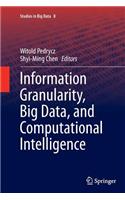 Information Granularity, Big Data, and Computational Intelligence