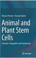 Animal and Plant Stem Cells