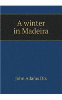 A Winter in Madeira