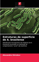 Estruturas de superfície de A. brasilense