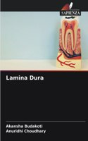 Lamina Dura