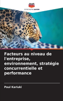 Facteurs au niveau de l'entreprise, environnement, stratégie concurrentielle et performance