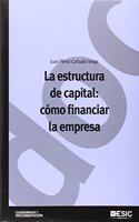 La estructura de capital: como financiar la empresa