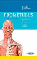 Poster Anatomia.HuesosMusc.: Huesos y musculos