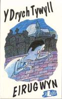 Drych Tywyll a Storïau Eraill, Y
